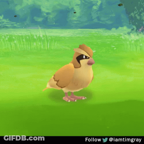 Cartoon Bird Standing Next To Poke Ball GIF