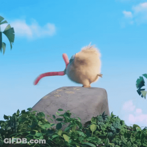 Cartoon Bird Standing On Rock GIF