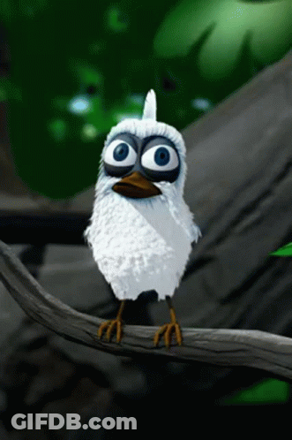 Cartoon Bird With Big Blue Eyes GIF