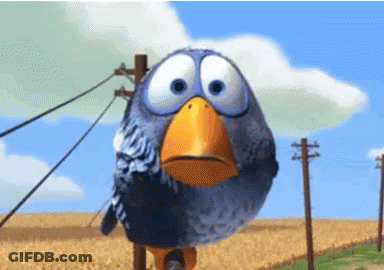 Cartoon Bird With Big Eyes And Orange Beak On Pole GIF
