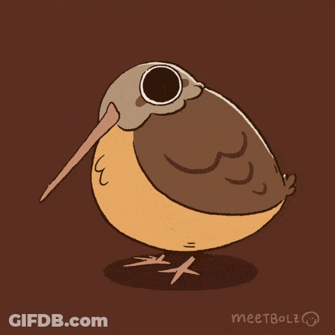 Cartoon Bird With Long Beak Saying Where Is Wife GIF