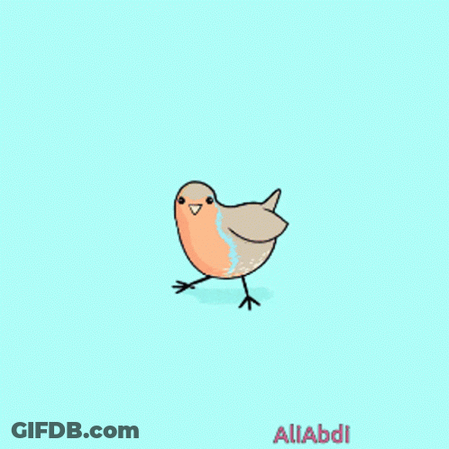 Cartoon Bird With Name Aliabdi GIF