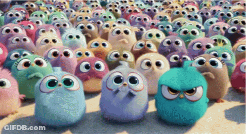 Cartoon Birds With Big Eyes Standing In A Row GIF