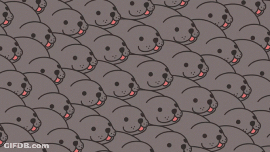 Cartoon Bouncing Seals On The Go GIF