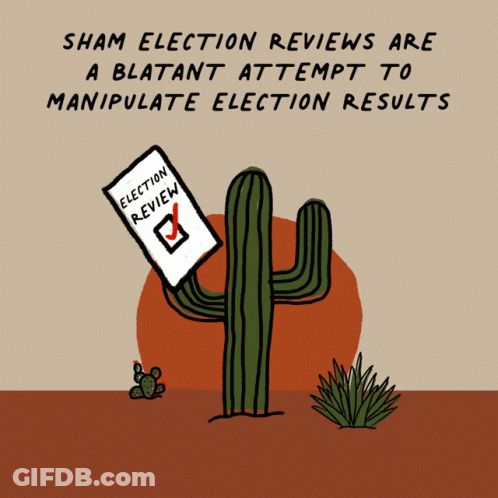 Cartoon Cactus With Election Review GIF
