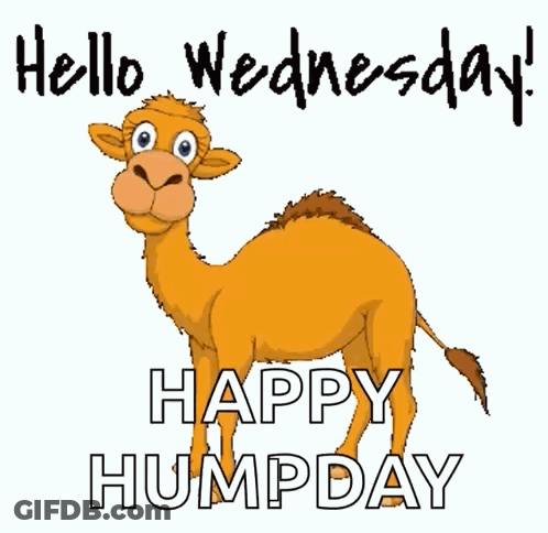 Cartoon Camel Hello Wednesday Happy Humpday GIF