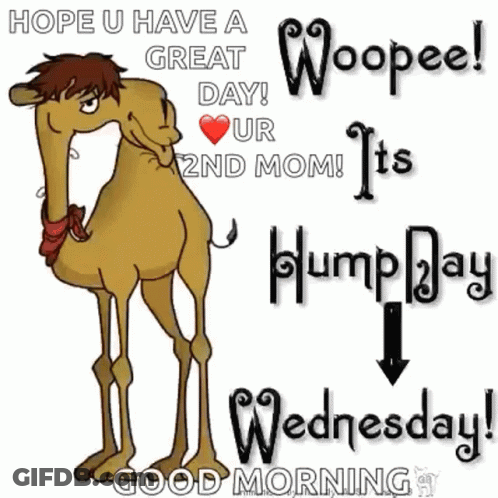 Cartoon Camel Next To Sign Hope U Have A Great Day GIF