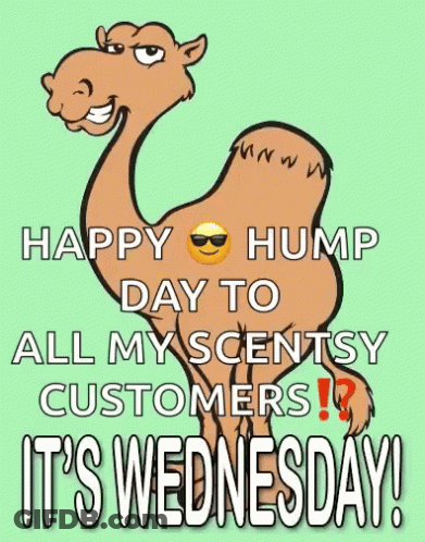 Cartoon Camel Says Happy Hump Day To All My Scentsy Customers GIF