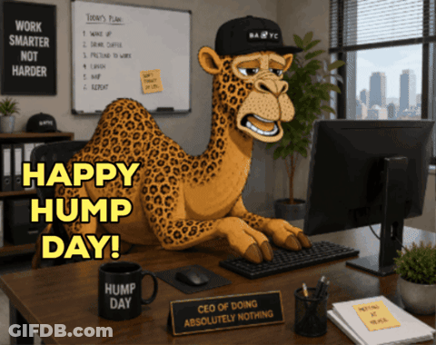 Cartoon Camel Sitting At Desk With Hump Day Cup GIF