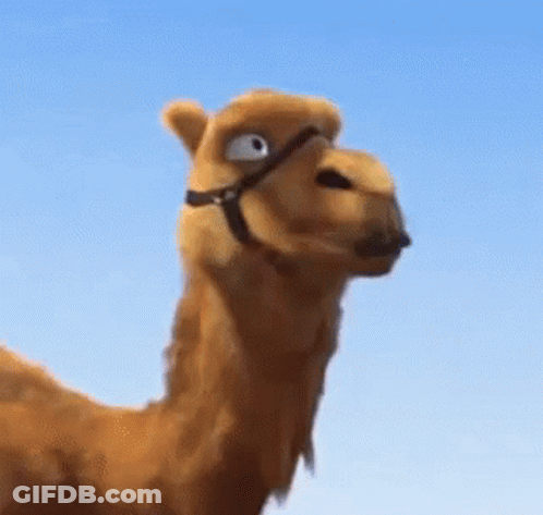 Cartoon Camel With Bridle Looking Up GIF