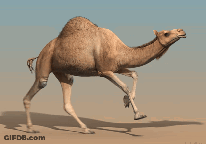 Cartoon Camel With Red Mouth GIF