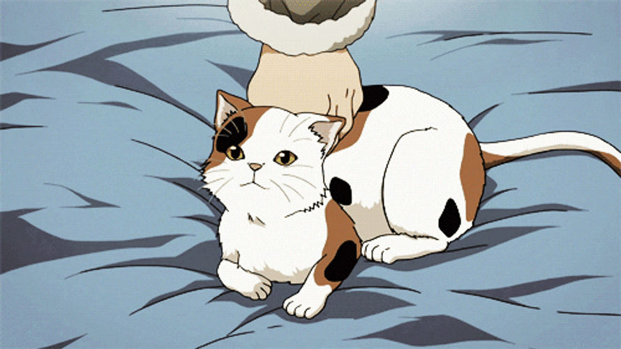 Cartoon Cat Abducted By Alien GIF