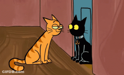 Cartoon Cat And Black Cat With Spray Bottle GIF