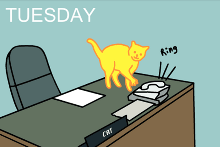 Cartoon Cat Calling Funny Tuesday GIF