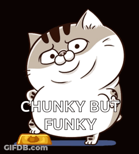 Cartoon Cat Chunky But Funky GIF