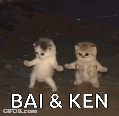 Cartoon Cat Covering Face On Zebra Crossing GIF