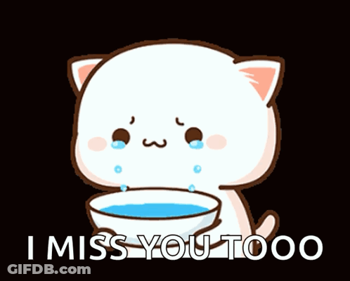 Cartoon Cat Crying Holding Bowl Of Water GIF