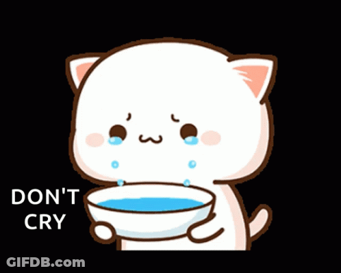 Cartoon Cat Crying Holding Bowl Saying Don't Cry GIF