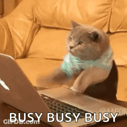 Cartoon Cat Drinking Bubble Tea GIF