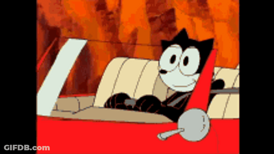 Cartoon Cat Driving With A Straight Face GIF