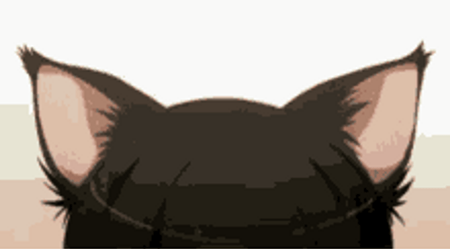 Cartoon Cat Ears GIF