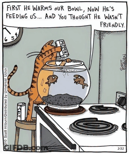 Cartoon Cat Feeding Bowl Of Fish First He Warms Our Bowl Now He's Feeding Us GIF