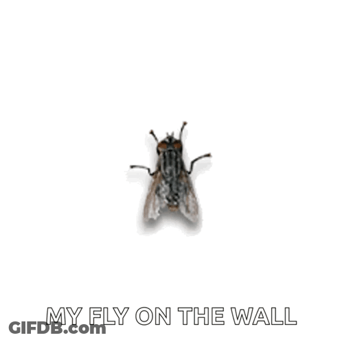 Cartoon Cat Flying In Purple Dress GIF