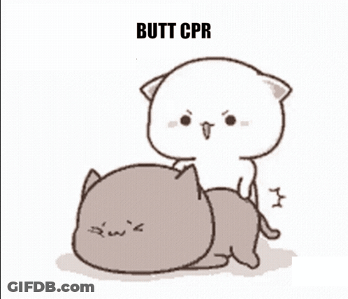 Cartoon Cat Giving Another Cat Butt CPR GIF