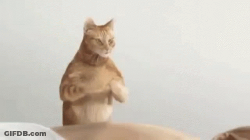 Cartoon Cat Giving Massage With Massage Text GIF