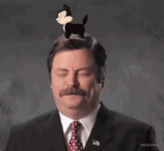 Cartoon Cat Head Scratch Man GIF