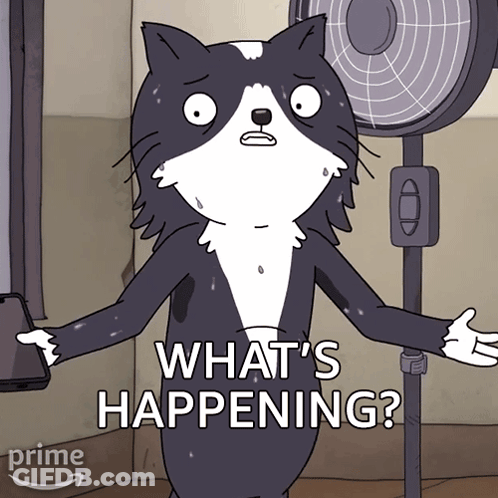 Cartoon Cat Holding Cell Phone Saying What's Happening GIF