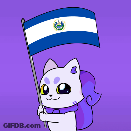 Cartoon Cat Holding El Salvador Flag GIF