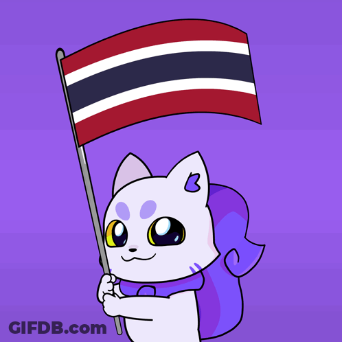 Cartoon Cat Holding Flag With Letter B GIF