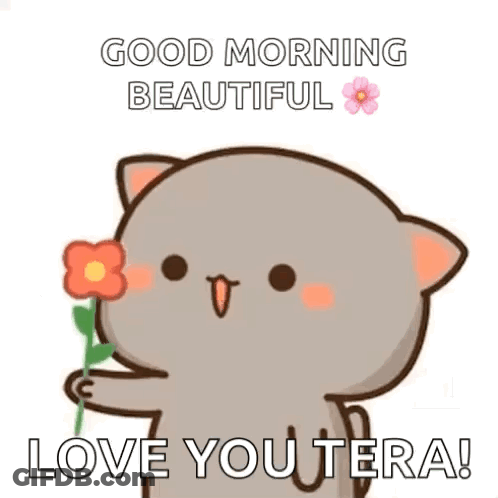 Cartoon Cat Holding Flower Saying Good Morning Beautiful Love You Tera GIF