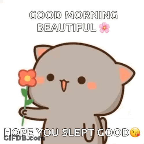 Cartoon Cat Holding Flower Saying Good Morning GIF
