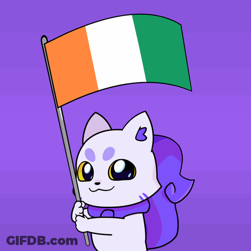 Cartoon Cat Holding Green White And Orange Flag GIF