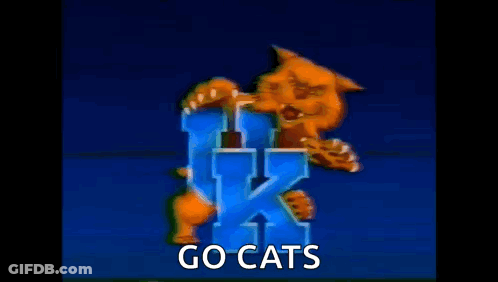 Cartoon Cat Holding Letter K Saying Go Cats GIF