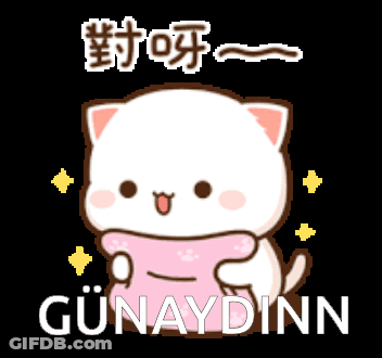 Cartoon Cat Holding Pink Pillow Günaydinn GIF