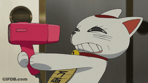 Cartoon Cat Holding Red Hair Dryer GIF