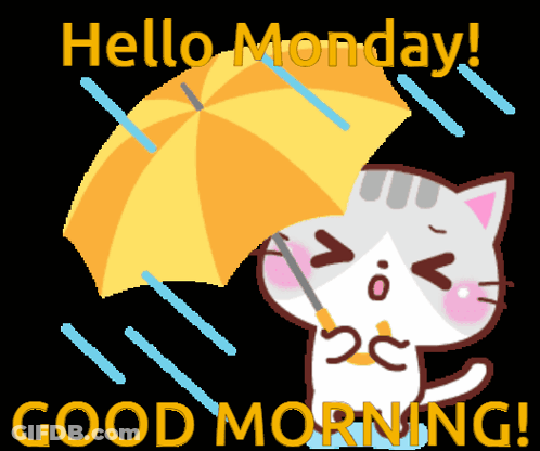 Cartoon Cat Holding Umbrella Hello Monday GIF