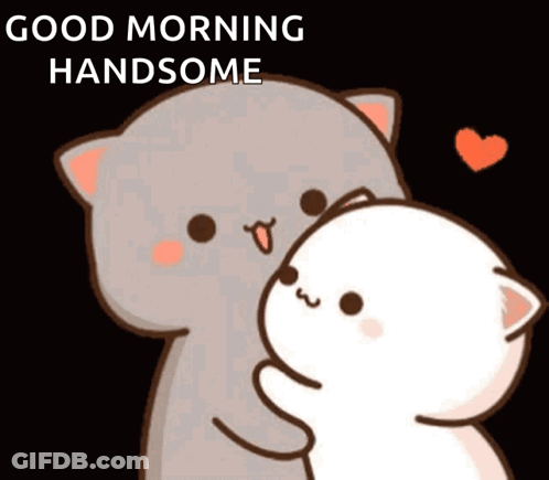 Cartoon Cat Hugging Another Good Morning GIF