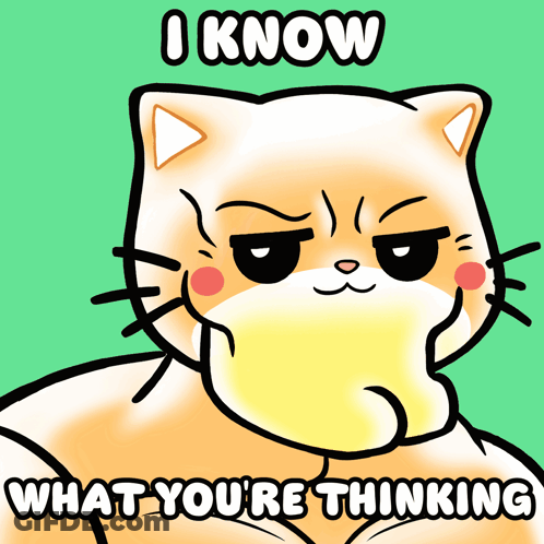 Cartoon Cat I Know What You're Thinking GIF