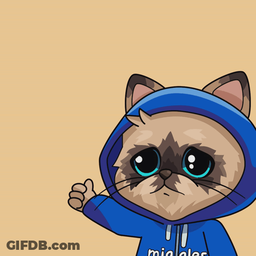 Cartoon Cat In Blue Hoodie Saying Miaolas GIF