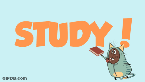 Cartoon Cat In Front Of Book Saying Study GIF