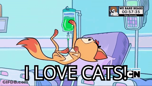 Cartoon Cat In Hospital Bed Saying I Love Cats GIF