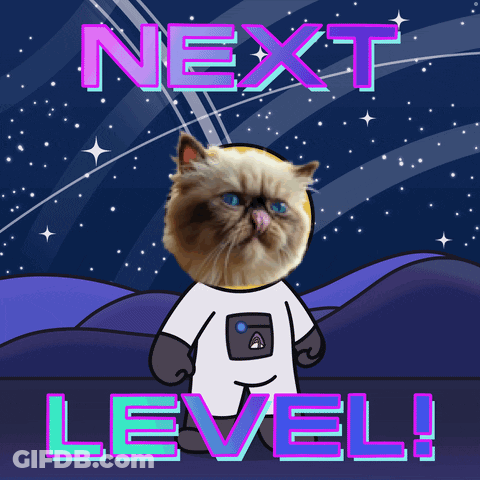 Cartoon Cat In Space Suit Saying Next Level GIF