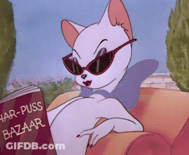 Cartoon Cat In Sunglasses Reading Har-Puss Bazaar GIF