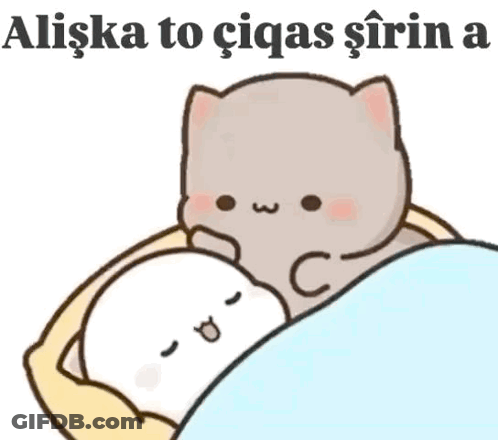Cartoon Cat Laying On Another Cat Aliska To Ciqas Sirin GIF
