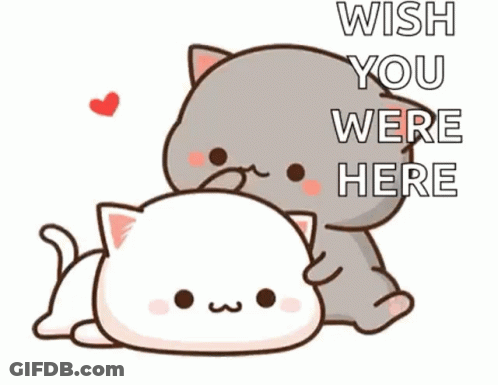 Cartoon Cat Laying On Another Cat Saying Wish You Were Here GIF