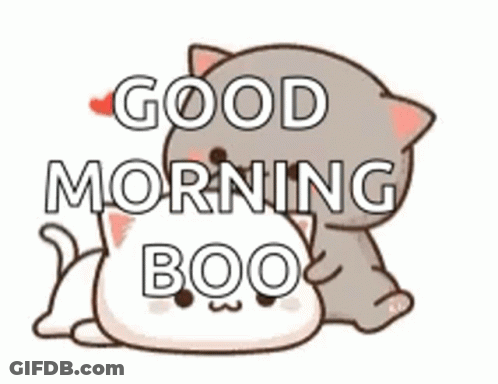 Cartoon Cat Laying On White Cat Saying Good Morning Boo GIF